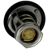 119717-49800 Thermostat For Yanmar 3TNM72 Diesel Engines -  Delta Diesel Parts 