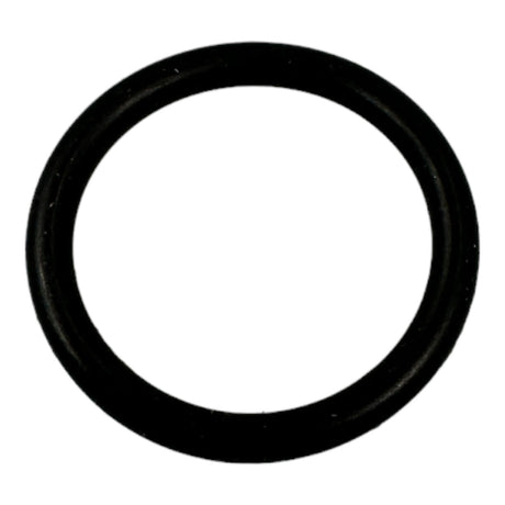 O-Ring For Perkins 404D-22 And 403D-15 Diesel Engines