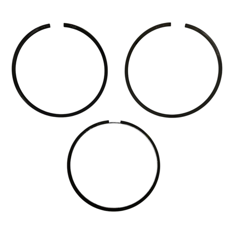 4118409 Piston Ring Set For Deutz D3L2009 Diesel Engines -  Delta Diesel Parts 